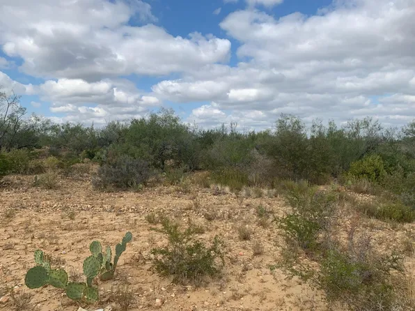 Abs 20 Por 35 Out Of Area, Zapata, TX 78076