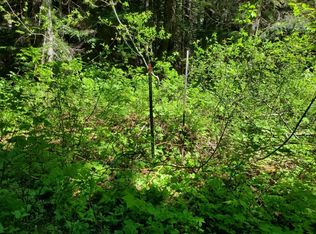 88 Chikamin Peak Rd, Snoqualmie Pass, WA 98068