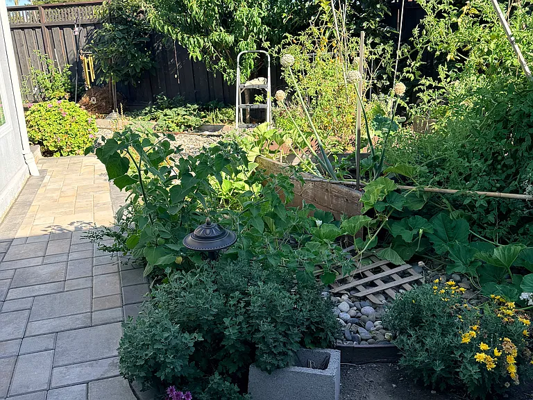 Vegetable garden