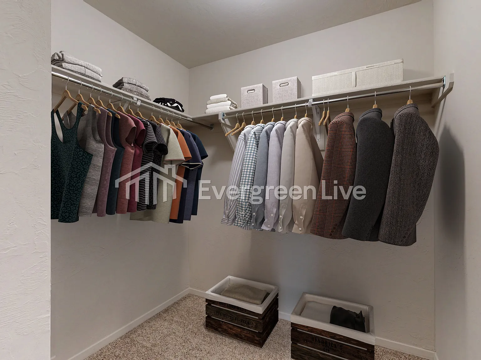 3 bed, 2.0 bath, 1355 sqft, $1,695 — Photo 4