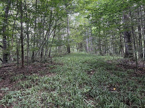 5th image of 0 Hughes Hollow Rd