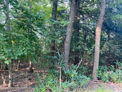 3 561 #T, Cresco, PA, 18326