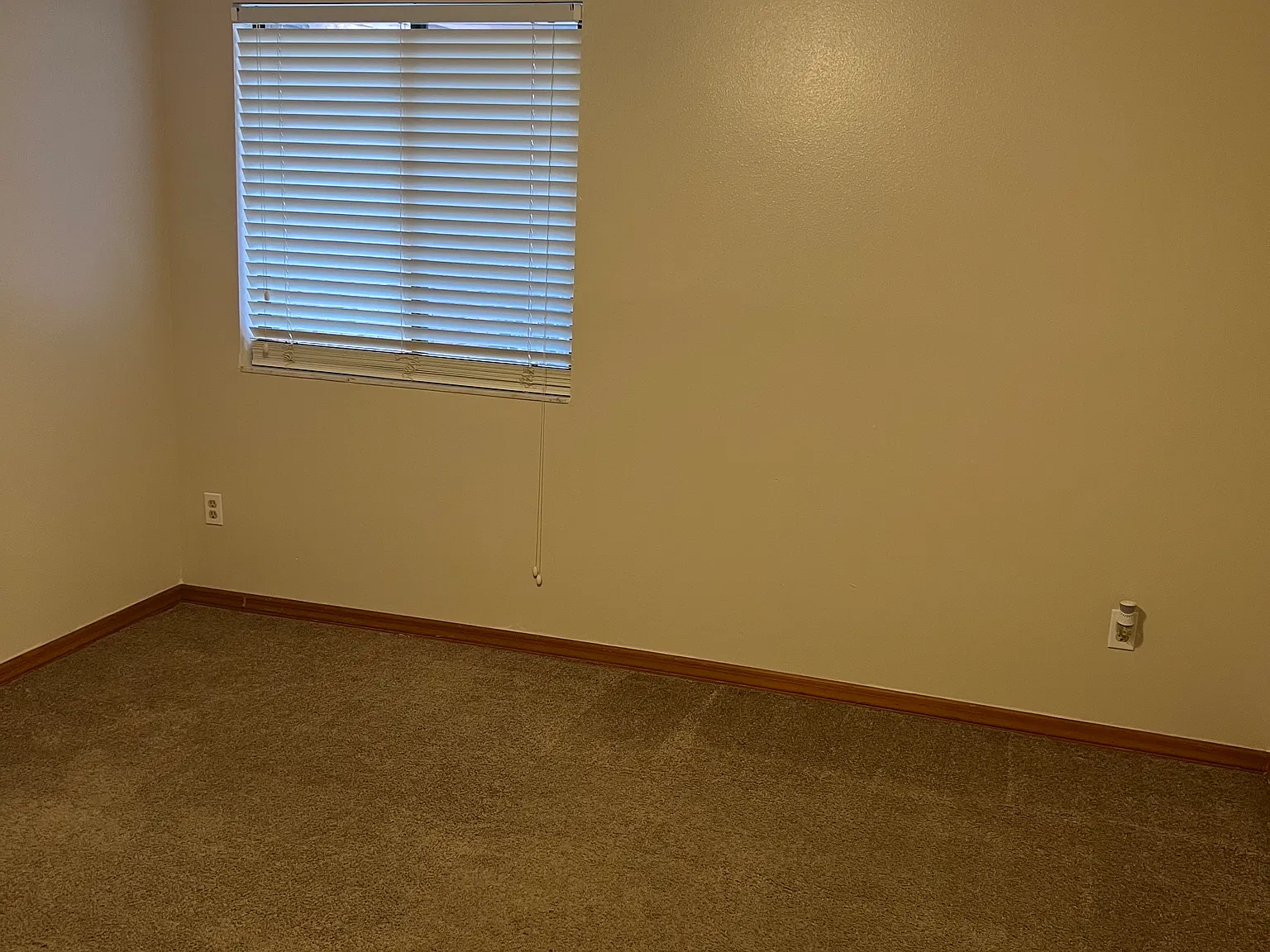 2 bed, 1153 sqft, $1,850 — Photo 4
