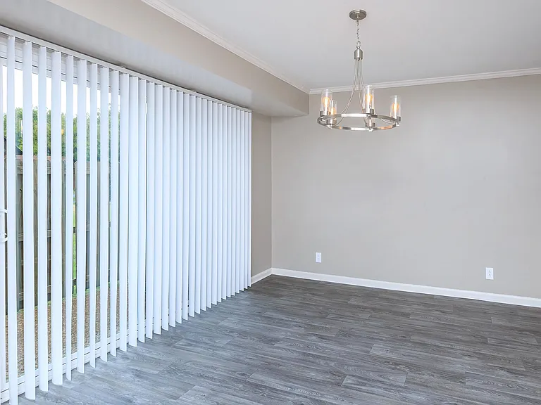 Colony House — Photo 33