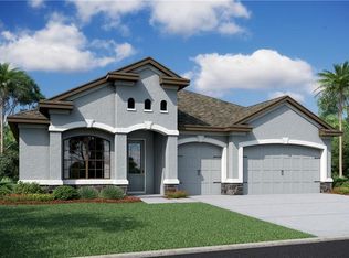 33341 Chasewood Cir, Wesley Chapel, FL 33545
