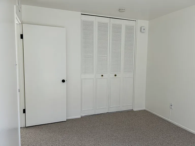 Bedroom #1 closet