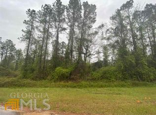 13 Hawkeye Ct, Oglethorpe, GA 31068