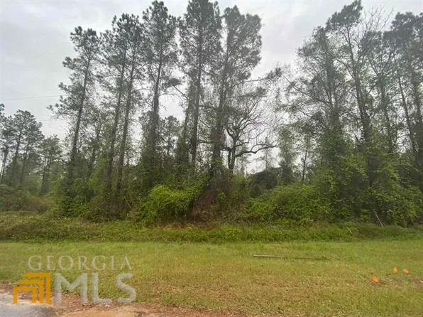 13 Hawkeye Ct, Oglethorpe, GA 31068