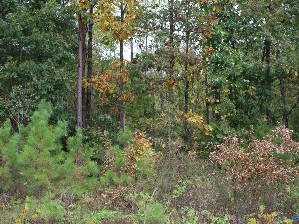 County Road 494, Fort Payne, AL 35968