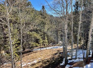 466 Valley Rd, Divide, CO 80814