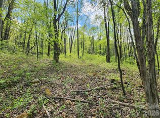 165 Wagon Wheel Way #2, Canton, NC 28716