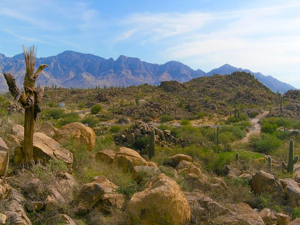 656 W Granite Gorge Dr LOT 337, Tucson, AZ 85755
