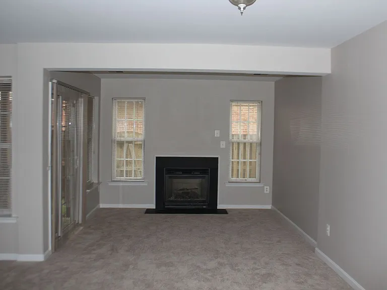 3404 Blue Mallard Lndg — Photo 10