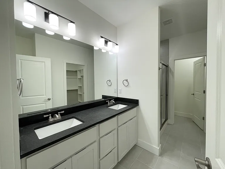 Primary Bathroom Vanity