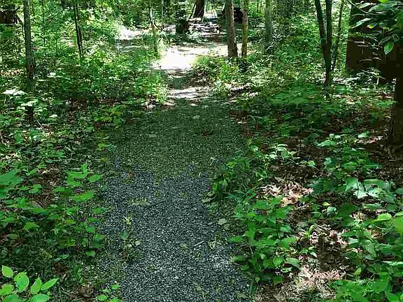 5th image of 828 Hankey Mountain Hwy