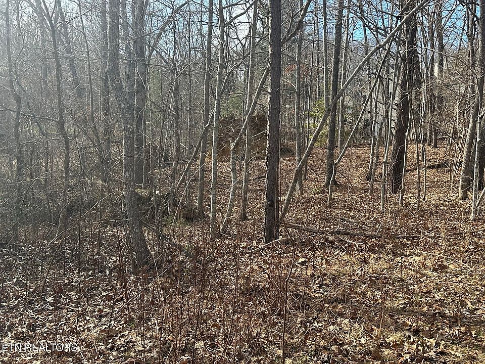 2nd image of 131 Burrough Ln