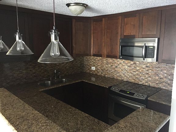 5th image of 801 S Plymouth Ct APT 1003