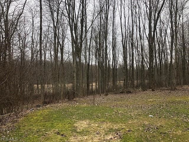2nd image of 917 East Blvd