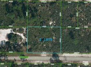 217 Warrior St NW, Lake Placid, FL 33852
