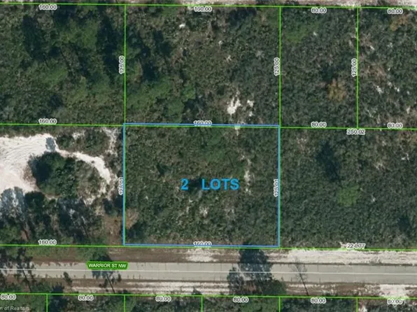 217 Warrior St NW, Lake Placid, FL 33852