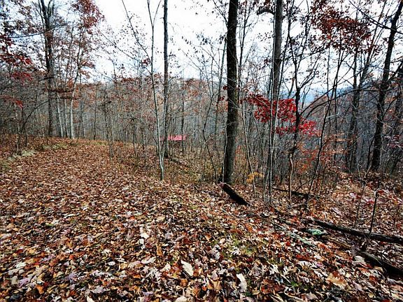 5th image of 7466 Hardwicks Creek Road