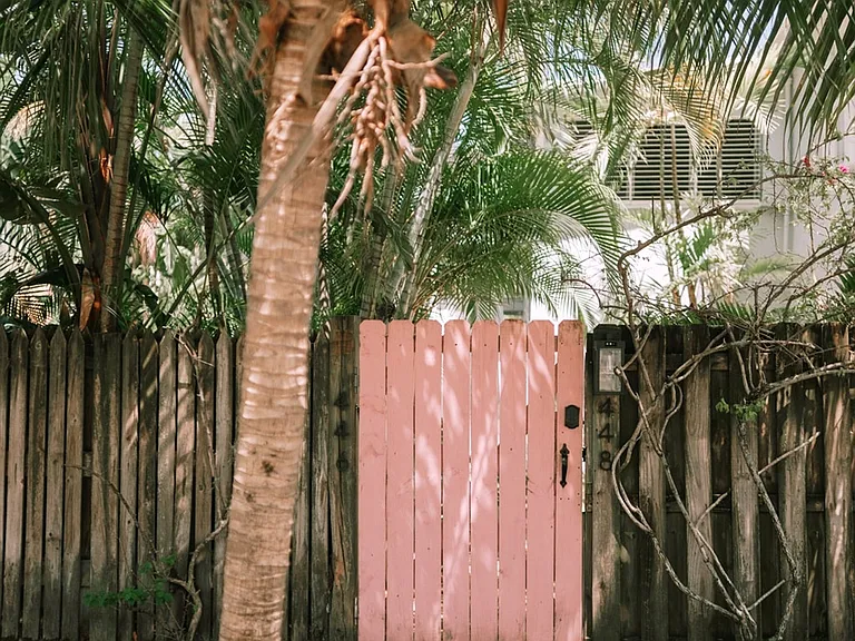 Neighborhood