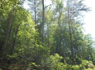 2578 Lucius Rd #3, Cherry Log, GA 30522