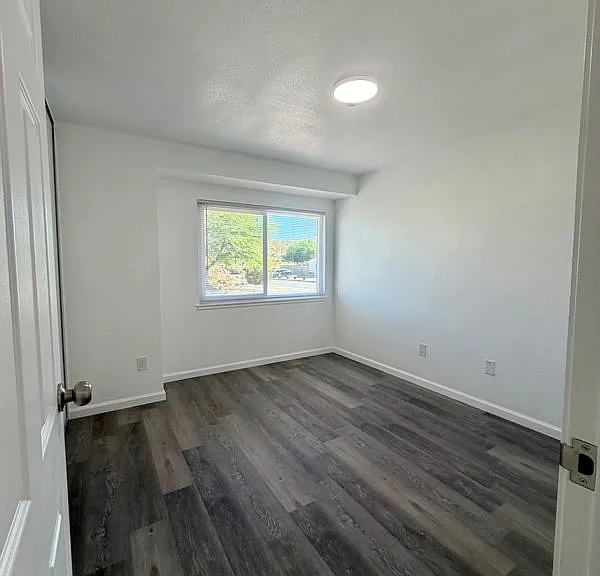 31060 Balsa Ave — Photo 9