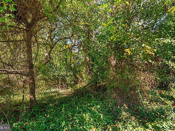 5th image of 14208 LEWISDALE ROAD