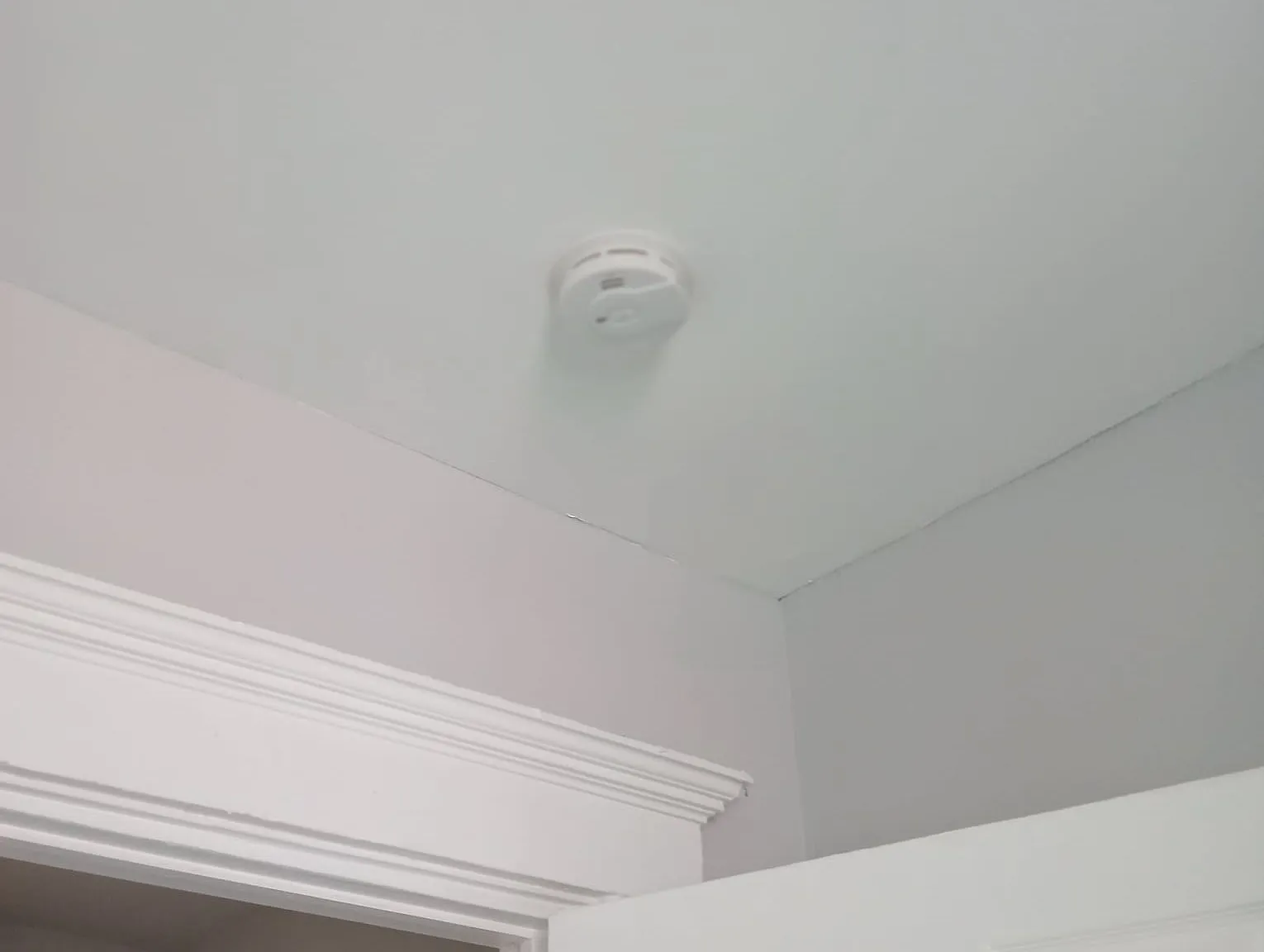 4 bed, 1000 sqft, $2,800 — Photo 1