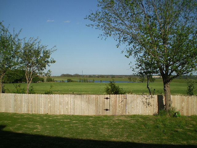 Backyard view