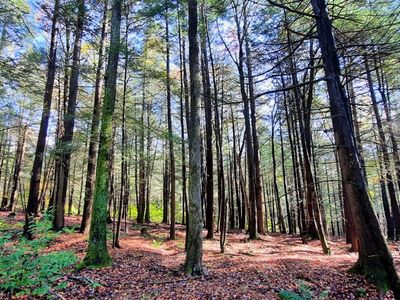 100 Boy Scout Rd, Downsville, NY, 13782