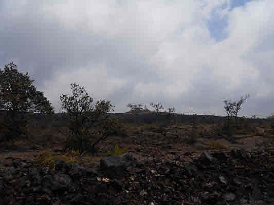 2nd image of Lot 27