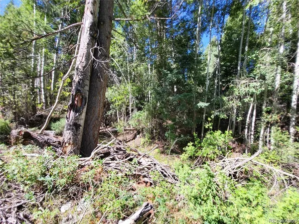 Lot 69 California Circle, Alamosa, CO 81101