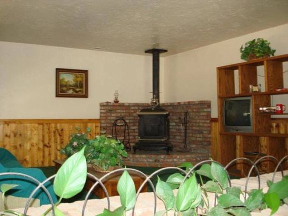 Woodburning Stove