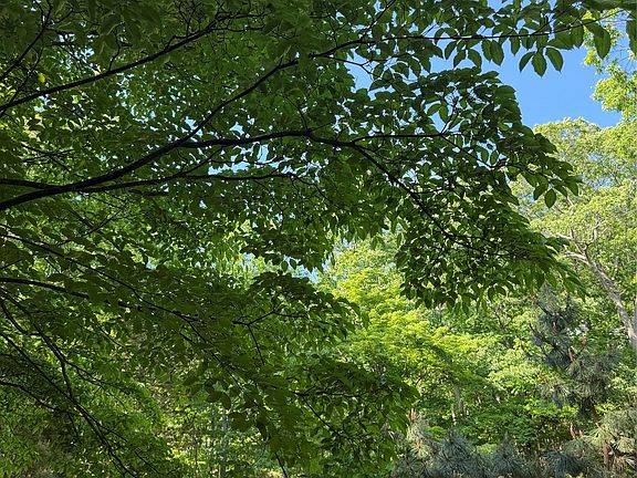 4th image of 301 Roaring Brook Road