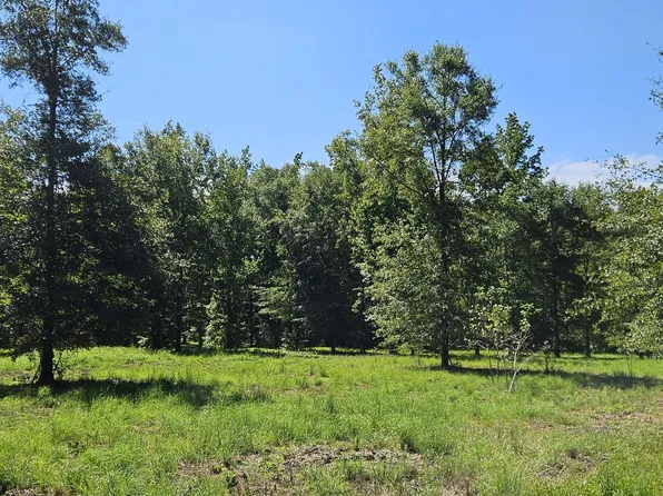 LOT 29 Bayside Dr, Greensboro, GA 30642