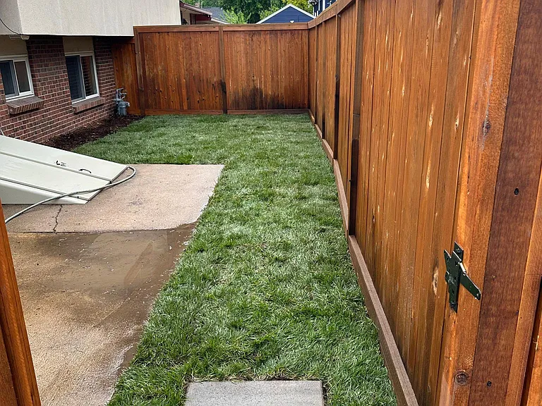 3985 Vrain St #D — Photo 19