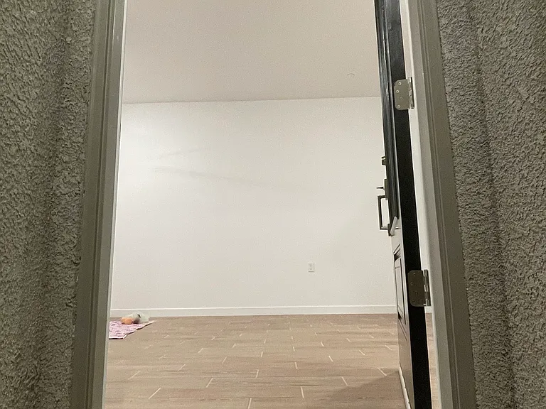 Main Entrance Door
