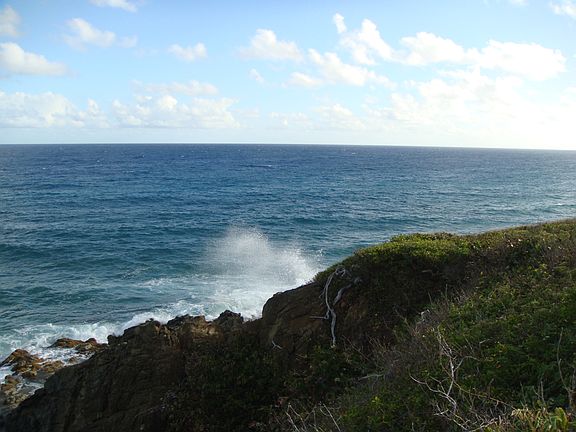4th image of 9 Concordia Nb #A
