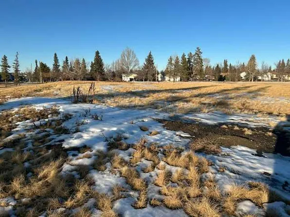 Plan 1013905 Block Lot 2-3, Three Hills, AB T0M 2N0