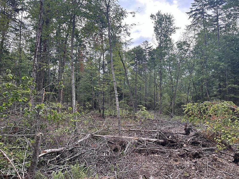 5th image of 162 Crandall Road