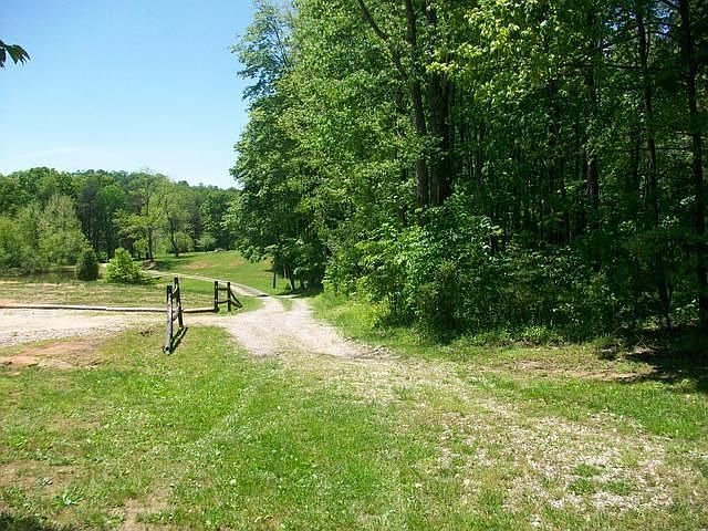 2nd image of 186 Timberwolf Dr