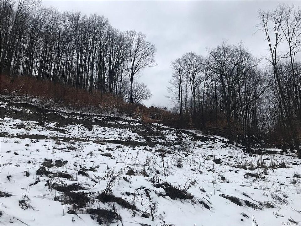 2nd image of 7 Rogers Rd