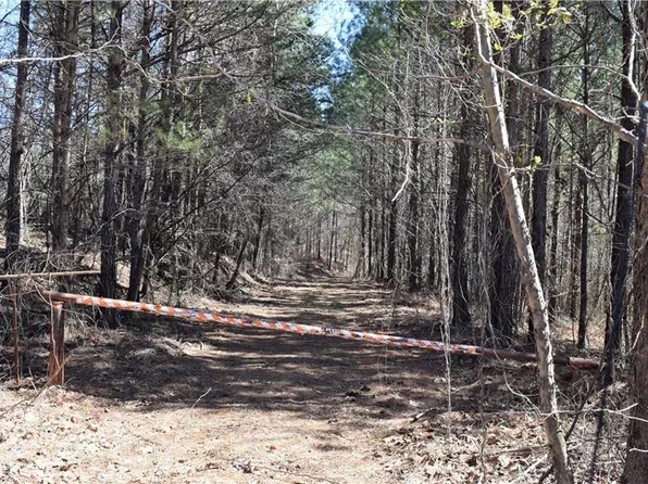 0 Tatum Rd, Talking Rock, GA 30175