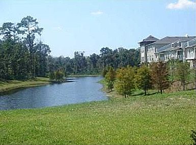 Lake beside unit