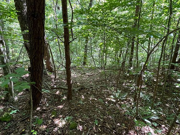 4th image of Ll 61 Bobbie Ln