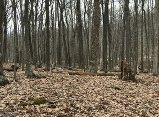 8 Oak Ridge Rd, Montague, NJ 07827