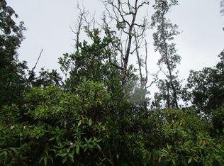 16-380 Laniuma St LOT 49, Kurtistown, HI 96760