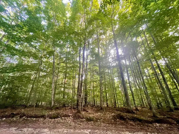 Tower Trl, Gaylord, MI 49735